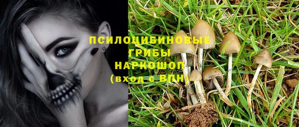 прущая мука Белокуриха