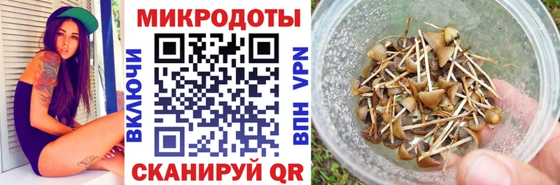 Псилоцибиновые грибы Psilocybe  ОМГ ОМГ онион  Котлас 